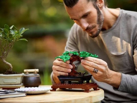 LEGO Creator Expert Bonsai Botanical Collection 10281