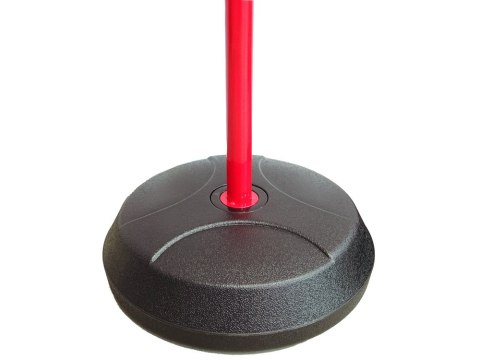 Kosz Do Koszykówki Regulowany Dla Dzieci Kosz Piłka Ogród