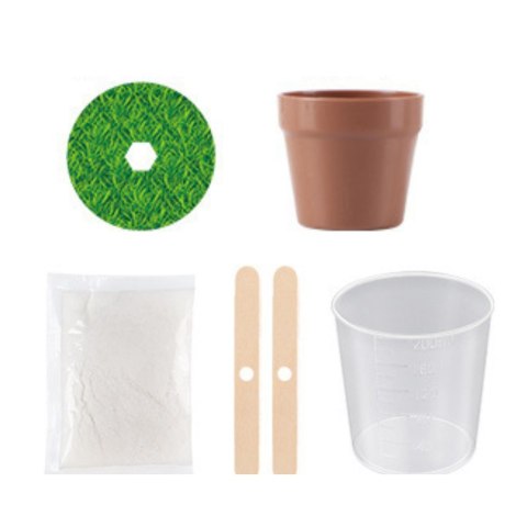 Hodowla Kryształów Magiczne Drzewko Kryształowe Eksperyment Edukacyjny