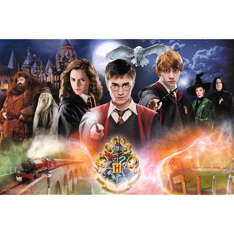 Puzzle - 300 - Harry Potter - Tajemniczy Harry Potter - Trefl 23001