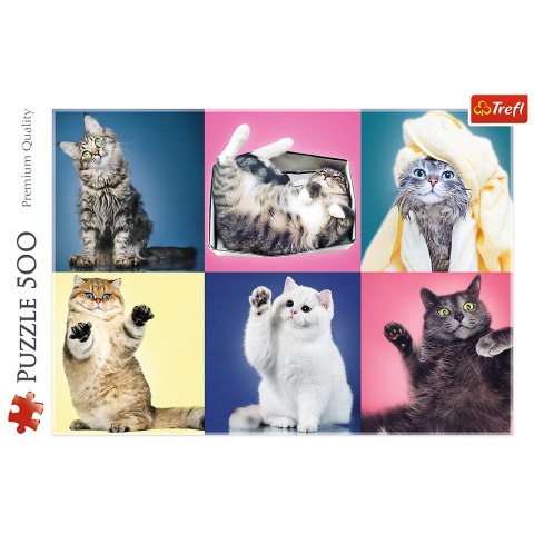 Puzzle - 500 - Kociaki - Trefl 37377
