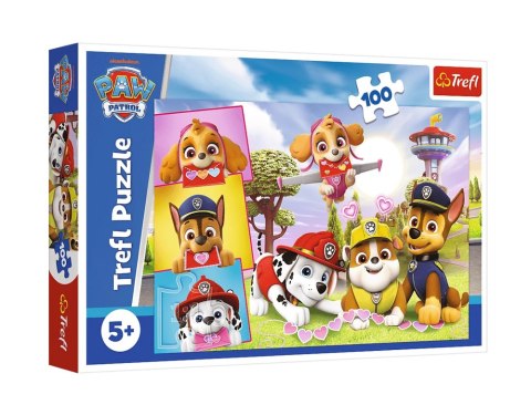 16520 100 - Nieustraszone dziewczyny / Viacom PAW Patrol FSC Mix 70% 16520