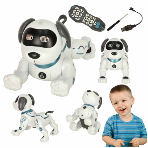 Pies piesek interaktywny zdalnie sterowany na pilota RC robot skacze śpiewa