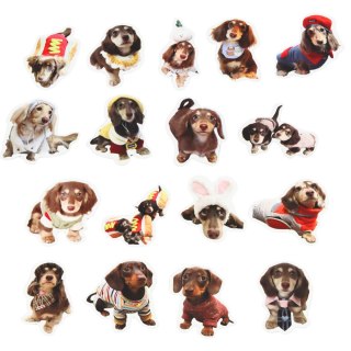 Zestaw Naklejki Z Pieskami Spaniel Papierowe Do Ozdabiania 50 szt.