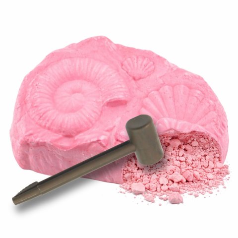 Morski Zestaw Archeologiczny Morskie Skamieniałości Muszle Narzędzia