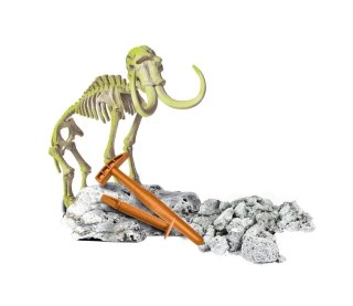 Naukowa Zabawa Skamieniałości Szkielet Mamuta Język Polski Clementoni 50859