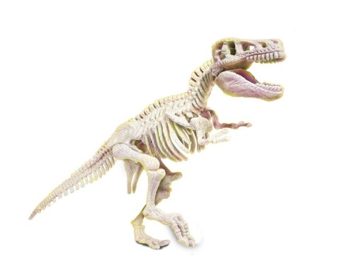 Naukowa Zabawa Skamieniałości Szkielet T-Rex Język Polski Clementoni 50858