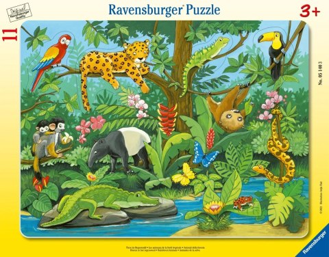 Ravensburger Zwierzęta Lasu Deszczowego 05140 Ravensburger Zwierzęta Lasu Deszczowego 05140