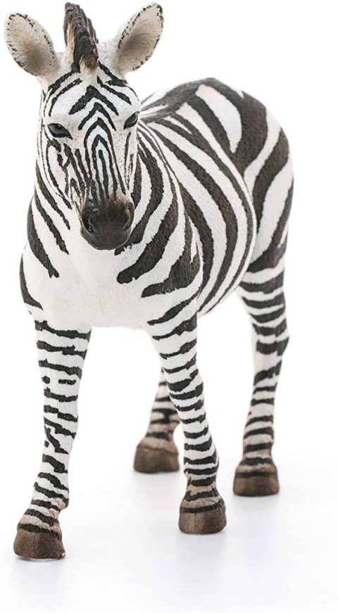 Schleich Samica Zebry Figurka Wild Life 14810S